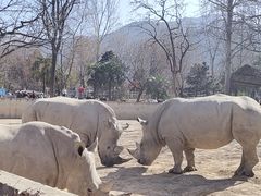 -西安秦岭野生动物园