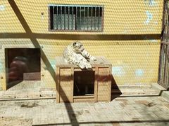 -青藏高原野生动物园