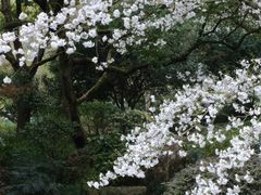 -中国茶叶博物馆(双峰馆区)