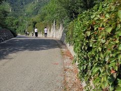 -北京鹫峰国家森林公园