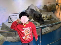 -国家自然博物馆