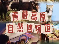 -青藏高原自然博物馆