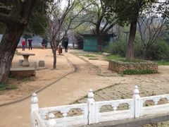 -甘棠公园
