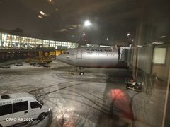 -谢列梅捷沃国际机场