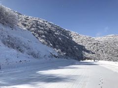 -太子岭滑雪场
