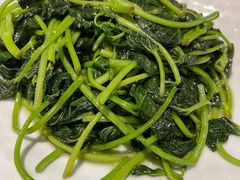 清炒红薯苗-YAFEE雅菲·粤菜·湘菜·融合菜(魏公村店)