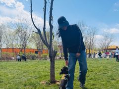 -爪吧宠物乐园 (温榆河示范区店)