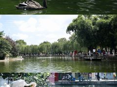 -成都动物园