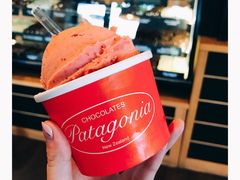 -Patagonia Chocolates(皇后镇店)