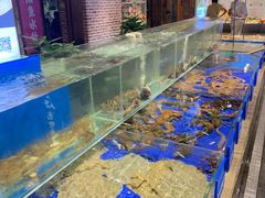 水产区-船歌·鱼水饺青岛菜(闽江二路店)