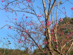 -聚龙山公园