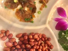 海蜇头-大鸿运酒店·苏州菜·松鼠桂鱼(观前街店)