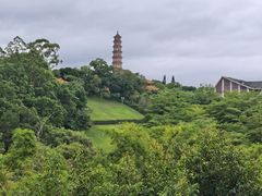 -广州莲花山旅游区