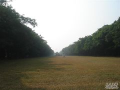 -中山大学学者灵芝(园南路店)
