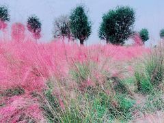 -汉长安城未央宫国家考古遗址公园