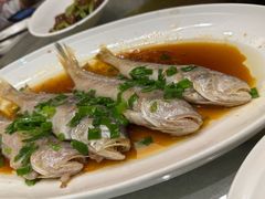 -苏启渔港(云南北路店)