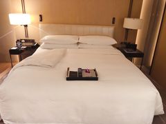 -成都尼依格罗酒店