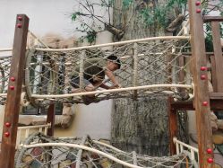 点击看大图 -宝燕乐园(闵行旗舰店)