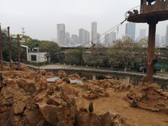 -昆明动物园