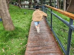 -马王堆汉墓遗址