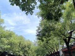 -宛平李记小吃(东关街店)