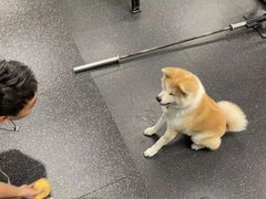 -YCHL Studios健身工作室(市二宫店)