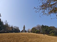 -成都保利公园皇冠假日酒店(熊猫基地店)
