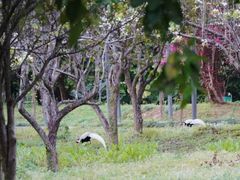 -福建鲤鱼洲酒店