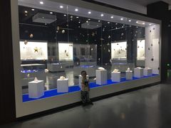 -贝壳王国博物馆