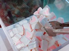 -狐狸和向日葵(北京路店)