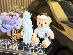 -天津波士信达奔驰4S店(卫津南路店)