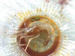-桂萍特色牛筋牛杂(长堤街总店)