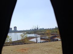 -九龙湖公园