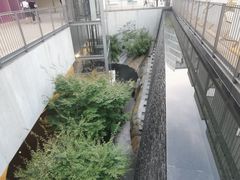 -山葵家居酒屋(天目里店)
