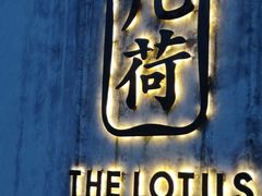 -几荷·恰似故人来(秀水广场店)