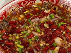 -欧记大排档·景德菜(上海首店)