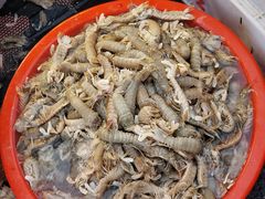 皮皮虾-芦潮港集贸市场