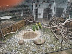 -九龙公园