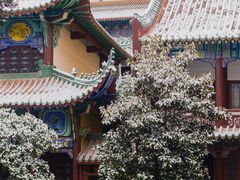 -宝通禅寺