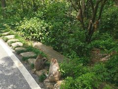 -姑婆山旅游区