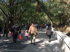 -灵岩山风景区