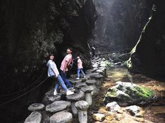 -牛背梁国家森林公园