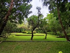 -深圳国际园林花卉博览园