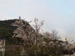 -湘湖金融镇