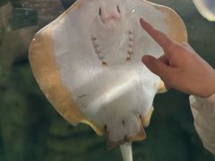 -珠海长隆海洋王国