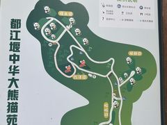 -都江堰中华大熊猫苑