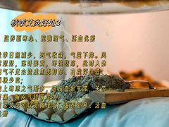 -世医堂推拿艾灸(淮海路店)