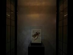 -王府半岛酒店