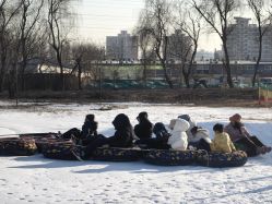 -268童话露营农场·烧烤·团建
