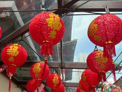 -新加坡佛牙寺龙华院